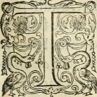 An illustration from De l'origine des bovrgongnons, et antiqvité des estats de Bovrgongne, devx livres : plus, des antiquitez d'Autun, liure 1 : de Chalon, 2 : de Mascon, 3 : de l'abbaye & ville de Tournus, 1 (1581)