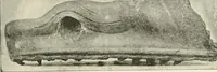 An illustration from Delphi (1920)