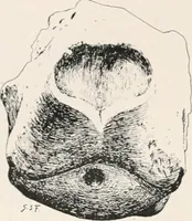 An illustration from Delphi (1920)
