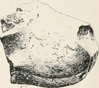 An illustration from Delphi (1920)