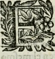 An illustration from Descripcion del Real Monasterio de San Lorenzo de el Escorial : vnica maravilla del mundo, fabrica de el prudentissimo rey Filipo Segundo, coronada por el catolico rey Filipo IV el Grande, con la magestuosa obra del Pantheon, y translacion de los cuerpos reales, reedificada por nuestro rey y señor Carlos II despues del incendio, y nuevamente exhornada con las excelentes pinturas de Lucas Jordan (1698)