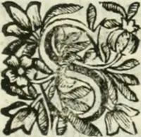 An illustration from Descripcion del Real Monasterio de San Lorenzo de el Escorial : vnica maravilla del mundo, fabrica de el prudentissimo rey Filipo Segundo, coronada por el catolico rey Filipo IV el Grande, con la magestuosa obra del Pantheon, y translacion de los cuerpos reales, reedificada por nuestro rey y señor Carlos II despues del incendio, y nuevamente exhornada con las excelentes pinturas de Lucas Jordan (1698)