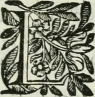 An illustration from Descripcion del Real Monasterio de San Lorenzo de el Escorial : vnica maravilla del mundo, fabrica de el prudentissimo rey Filipo Segundo, coronada por el catolico rey Filipo IV el Grande, con la magestuosa obra del Pantheon, y translacion de los cuerpos reales, reedificada por nuestro rey y señor Carlos II despues del incendio, y nuevamente exhornada con las excelentes pinturas de Lucas Jordan (1698)