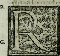 Picture 15 of 16 from Ragionamenti del sig. cavaliere Giorgio Vasari, pittore et architetto aretino, sopra le inuentioni da lui dipinte in Firenze nel palazzo di Loro Altezze serenissime. Con lo illustriss. & eccellentiss. signor don Francesco Medici, allora principe de Firenze. Insieme con la inuentione della pittura da lui cominciata nella cvpola. Con due tauole, vna delle cose piu notabili, & l'altra delli huomini illustri, che sono ritratti e nominati in quest' opera (1588), leaf 177
