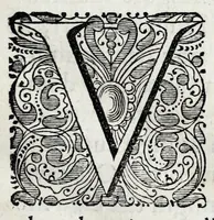 An illustration from De lucis natura et proprietate (1662)