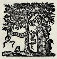 An illustration from De lucis natura et proprietate (1662)
