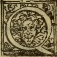 An illustration from De lumbricis alvum occupantibus, ac de ratione curandi eos : qui ab illis infestantur commentarius (1547)