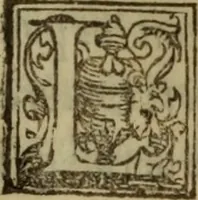 An illustration from De lumbricis alvum occupantibus, ac de ratione curandi eos : qui ab illis infestantur commentarius (1547)