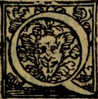 An illustration from De lumbricis alvum occupantibus, ac de ratione curandi eos : qui ab illis infestantur commentarius (1547)