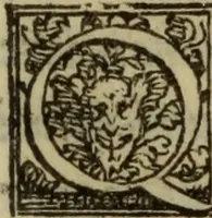An illustration from De lumbricis alvum occupantibus, ac de ratione curandi eos : qui ab illis infestantur commentarius (1547)
