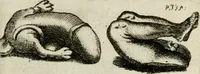 Picture 58 of 64 from De l'utilité des voyages : et de l'avantage que la recherche des antiquitez procure aux sçavans (1686), leaf 356