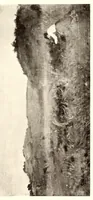 An illustration from De luxe illustrated catalogue of paintings and water colors of the Italian, French, Dutch and American schools by old and modern masters and other art property : to be sold to facilitate the settlement of the estate of the late James S. Inglis of Cottier and Company, New York (1909)