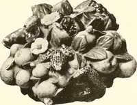 An illustration from De luxe illustrated catalogue of the treasures and antiquities illustrating the golden age of Italian art, belonging to the famous expert and antiquarian, Signor Stefano Bardini, of Florence, Italy; (1918)
