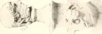 An illustration from De luxe illustrated catalogue of the treasures and antiquities illustrating the golden age of Italian art, belonging to the famous expert and antiquarian, Signor Stefano Bardini, of Florence, Italy; (1918)