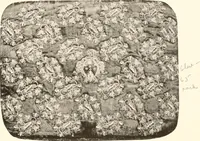 An illustration from De luxe illustrated catalogue of the treasures and antiquities illustrating the golden age of Italian art, belonging to the famous expert and antiquarian, Signor Stefano Bardini, of Florence, Italy; (1918)