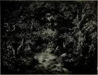 An illustration from De luxe illustrated catalogue of the notable art collection formed by the late George A. Hearn ... to be sold at unrestricted public sale, as directed by the terms of the will, Clarkson Cowl, Herbert Spencer Greims and George E. Schank, executors, on the afternoons and evenings at the places herein stated .. (1918)