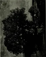 An illustration from De luxe illustrated catalogue of the notable art collection formed by the late George A. Hearn ... to be sold at unrestricted public sale, as directed by the terms of the will, Clarkson Cowl, Herbert Spencer Greims and George E. Schank, executors, on the afternoons and evenings at the places herein stated .. (1918)