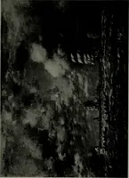 An illustration from De luxe illustrated catalogue of the notable art collection formed by the late George A. Hearn ... to be sold at unrestricted public sale, as directed by the terms of the will, Clarkson Cowl, Herbert Spencer Greims and George E. Schank, executors, on the afternoons and evenings at the places herein stated .. (1918)