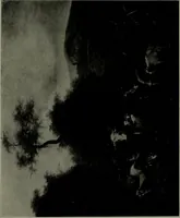 An illustration from De luxe illustrated catalogue of the notable art collection formed by the late George A. Hearn ... to be sold at unrestricted public sale, as directed by the terms of the will, Clarkson Cowl, Herbert Spencer Greims and George E. Schank, executors, on the afternoons and evenings at the places herein stated .. (1918)