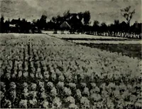 An illustration from De luxe illustrated catalogue of the notable art collection formed by the late George A. Hearn ... to be sold at unrestricted public sale, as directed by the terms of the will, Clarkson Cowl, Herbert Spencer Greims and George E. Schank, executors, on the afternoons and evenings at the places herein stated .. (1918)