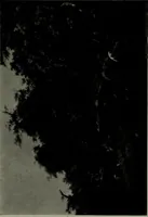 An illustration from De luxe illustrated catalogue of the notable art collection formed by the late George A. Hearn ... to be sold at unrestricted public sale, as directed by the terms of the will, Clarkson Cowl, Herbert Spencer Greims and George E. Schank, executors, on the afternoons and evenings at the places herein stated .. (1918)