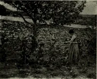 An illustration from De luxe illustrated catalogue of the notable art collection formed by the late George A. Hearn ... to be sold at unrestricted public sale, as directed by the terms of the will, Clarkson Cowl, Herbert Spencer Greims and George E. Schank, executors, on the afternoons and evenings at the places herein stated .. (1918)