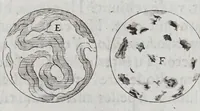 Picture 6 of 7 from De maculis solarib. et stellis circa Iouem errantibus : accuratior disquisitio, ad Marcum Velserum ... perscripta. Interiectis obseruationum delineationibus (1612), leaf 38
