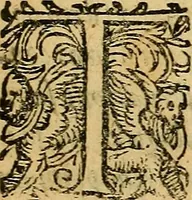 An illustration from De magia, : de observatione somniorvm, et de divinatione astrologica, libri tres. Adversvs fallaces, et svperstitiosas artes. (1598)