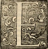 Picture 6 of 12 from De manu regia tractatus : prima[-secunda] pars : inquo, omnium legum regiarum (quibus regi Portugalliae inuictissimo, in causis ecclesiasticis cognitio permissa est) ex iure, priuilegio, consuetudine, seu concordia, sensus, & vera decidendi ratio aperitur (1622), leaf 20