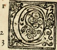 An illustration from De manu regia tractatus : prima[-secunda] pars : inquo, omnium legum regiarum (quibus regi Portugalliae inuictissimo, in causis ecclesiasticis cognitio permissa est) ex iure, priuilegio, consuetudine, seu concordia, sensus, & vera decidendi ratio aperitur (1622)