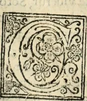 An illustration from De manu regia tractatus : prima[-secunda] pars : inquo, omnium legum regiarum (quibus regi Portugalliae inuictissimo, in causis ecclesiasticis cognitio permissa est) ex iure, priuilegio, consuetudine, seu concordia, sensus, & vera decidendi ratio aperitur (1622)