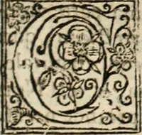 An illustration from De manu regia tractatus : prima[-secunda] pars : inquo, omnium legum regiarum (quibus regi Portugalliae inuictissimo, in causis ecclesiasticis cognitio permissa est) ex iure, priuilegio, consuetudine, seu concordia, sensus, & vera decidendi ratio aperitur (1622)
