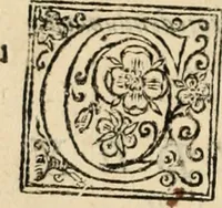 An illustration from De manu regia tractatus : prima[-secunda] pars : inquo, omnium legum regiarum (quibus regi Portugalliae inuictissimo, in causis ecclesiasticis cognitio permissa est) ex iure, priuilegio, consuetudine, seu concordia, sensus, & vera decidendi ratio aperitur (1622)
