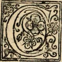 An illustration from De manu regia tractatus : prima[-secunda] pars : inquo, omnium legum regiarum (quibus regi Portugalliae inuictissimo, in causis ecclesiasticis cognitio permissa est) ex iure, priuilegio, consuetudine, seu concordia, sensus, & vera decidendi ratio aperitur (1622)