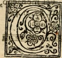 Picture 36 of 84 from De manu regia tractatus : prima[-secunda] pars : inquo, omnium legum regiarum (quibus regi Portugalliae inuictissimo, in causis ecclesiasticis cognitio permissa est) ex iure, priuilegio, consuetudine, seu concordia, sensus, & vera decidendi ratio aperitur (1622), leaf 289
