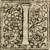 An illustration from De manu regia tractatus : prima[-secunda] pars : inquo, omnium legum regiarum (quibus regi Portugalliae inuictissimo, in causis ecclesiasticis cognitio permissa est) ex iure, priuilegio, consuetudine, seu concordia, sensus, & vera decidendi ratio aperitur (1622)
