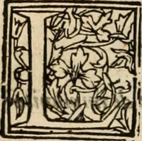 An illustration from De manu regia tractatus : prima[-secunda] pars : inquo, omnium legum regiarum (quibus regi Portugalliae inuictissimo, in causis ecclesiasticis cognitio permissa est) ex iure, priuilegio, consuetudine, seu concordia, sensus, & vera decidendi ratio aperitur (1622)