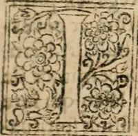 Picture 48 of 84 from De manu regia tractatus : prima[-secunda] pars : inquo, omnium legum regiarum (quibus regi Portugalliae inuictissimo, in causis ecclesiasticis cognitio permissa est) ex iure, priuilegio, consuetudine, seu concordia, sensus, & vera decidendi ratio aperitur (1622), leaf 368