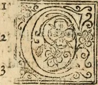An illustration from De manu regia tractatus : prima[-secunda] pars : inquo, omnium legum regiarum (quibus regi Portugalliae inuictissimo, in causis ecclesiasticis cognitio permissa est) ex iure, priuilegio, consuetudine, seu concordia, sensus, & vera decidendi ratio aperitur (1622)
