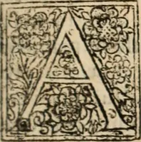 An illustration from De manu regia tractatus : prima[-secunda] pars : inquo, omnium legum regiarum (quibus regi Portugalliae inuictissimo, in causis ecclesiasticis cognitio permissa est) ex iure, priuilegio, consuetudine, seu concordia, sensus, & vera decidendi ratio aperitur (1622)