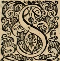 An illustration from De manu regia tractatus : prima[-secunda] pars : inquo, omnium legum regiarum (quibus regi Portugalliae inuictissimo, in causis ecclesiasticis cognitio permissa est) ex iure, priuilegio, consuetudine, seu concordia, sensus, & vera decidendi ratio aperitur (1622)