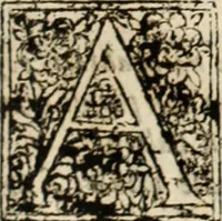 An illustration from De manu regia tractatus : prima[-secunda] pars : inquo, omnium legum regiarum (quibus regi Portugalliae inuictissimo, in causis ecclesiasticis cognitio permissa est) ex iure, priuilegio, consuetudine, seu concordia, sensus, & vera decidendi ratio aperitur (1622)