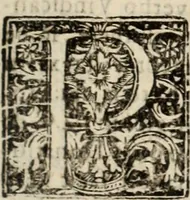 Picture 59 of 84 from De manu regia tractatus : prima[-secunda] pars : inquo, omnium legum regiarum (quibus regi Portugalliae inuictissimo, in causis ecclesiasticis cognitio permissa est) ex iure, priuilegio, consuetudine, seu concordia, sensus, & vera decidendi ratio aperitur (1622), leaf 508