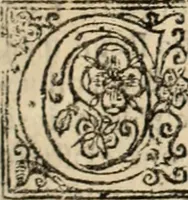 An illustration from De manu regia tractatus : prima[-secunda] pars : inquo, omnium legum regiarum (quibus regi Portugalliae inuictissimo, in causis ecclesiasticis cognitio permissa est) ex iure, priuilegio, consuetudine, seu concordia, sensus, & vera decidendi ratio aperitur (1622)