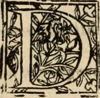 Picture 66 of 84 from De manu regia tractatus : prima[-secunda] pars : inquo, omnium legum regiarum (quibus regi Portugalliae inuictissimo, in causis ecclesiasticis cognitio permissa est) ex iure, priuilegio, consuetudine, seu concordia, sensus, & vera decidendi ratio aperitur (1622), leaf 575