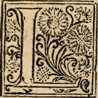 An illustration from De manu regia tractatus : prima[-secunda] pars : inquo, omnium legum regiarum (quibus regi Portugalliae inuictissimo, in causis ecclesiasticis cognitio permissa est) ex iure, priuilegio, consuetudine, seu concordia, sensus, & vera decidendi ratio aperitur (1622)