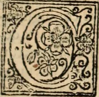 An illustration from De manu regia tractatus : prima[-secunda] pars : inquo, omnium legum regiarum (quibus regi Portugalliae inuictissimo, in causis ecclesiasticis cognitio permissa est) ex iure, priuilegio, consuetudine, seu concordia, sensus, & vera decidendi ratio aperitur (1622)
