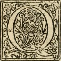 An illustration from De manu regia tractatus : prima[-secunda] pars : inquo, omnium legum regiarum (quibus regi Portugalliae inuictissimo, in causis ecclesiasticis cognitio permissa est) ex iure, priuilegio, consuetudine, seu concordia, sensus, & vera decidendi ratio aperitur (1622)