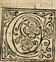 An illustration from De manu regia tractatus : prima[-secunda] pars : inquo, omnium legum regiarum (quibus regi Portugalliae inuictissimo, in causis ecclesiasticis cognitio permissa est) ex iure, priuilegio, consuetudine, seu concordia, sensus, & vera decidendi ratio aperitur (1622)