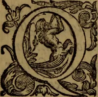 An illustration from De medica historia mirabili libri sex (1597)